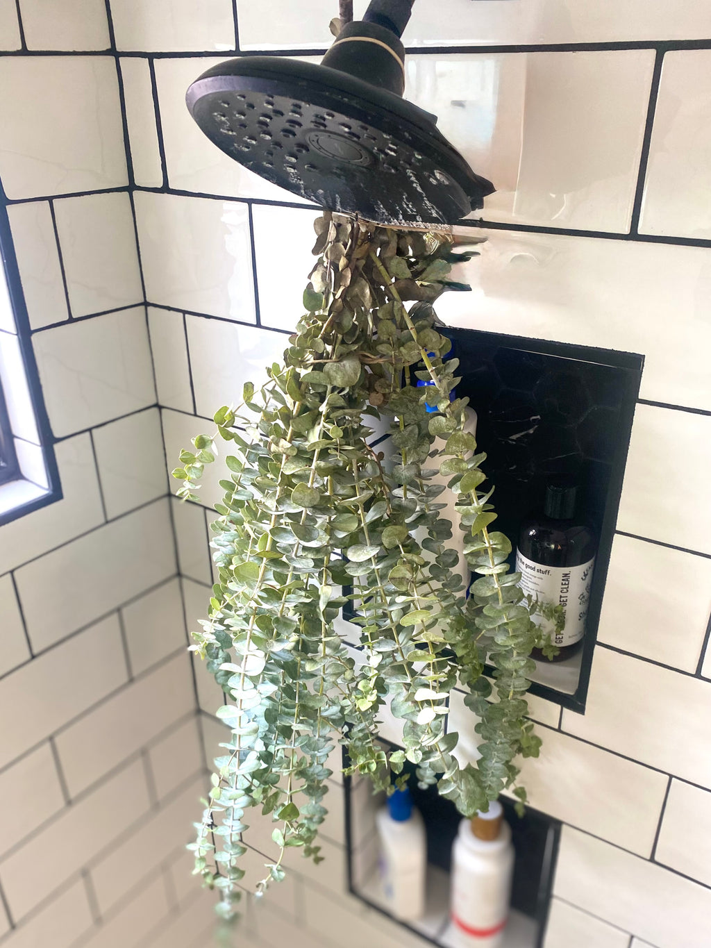 Eucalyptus Shower Bundle