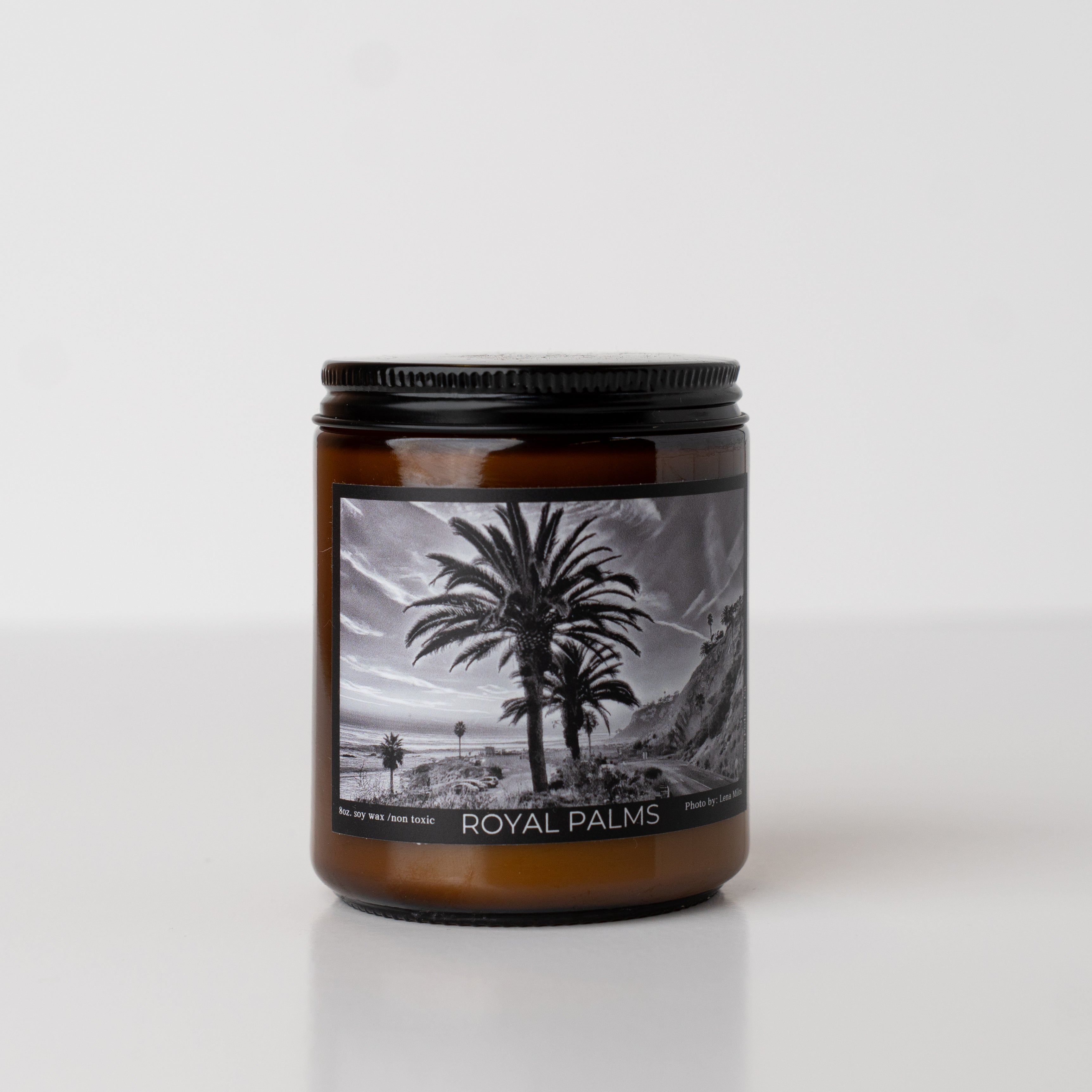 Royal Palm