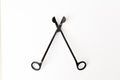 Black Wick Cutter